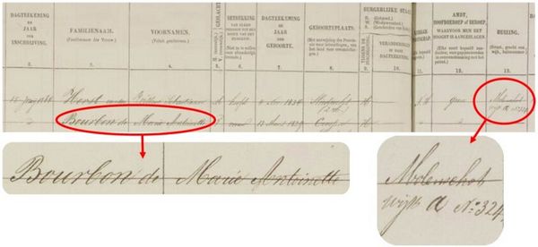 Bourbons in Molenschot